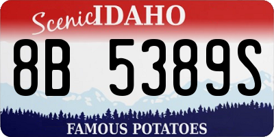ID license plate 8B5389S