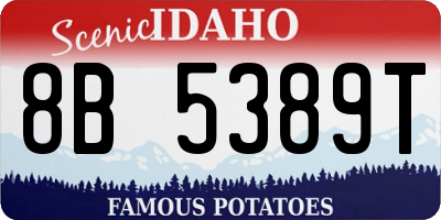 ID license plate 8B5389T