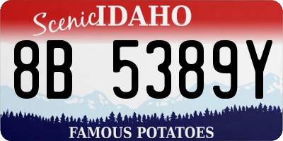 ID license plate 8B5389Y