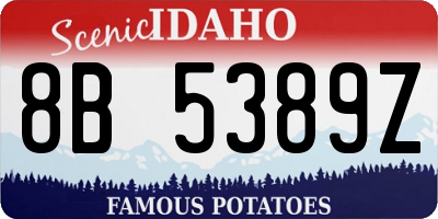 ID license plate 8B5389Z