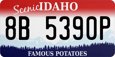 ID license plate 8B5390P