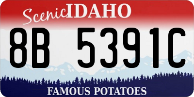 ID license plate 8B5391C