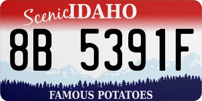 ID license plate 8B5391F