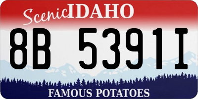 ID license plate 8B5391I
