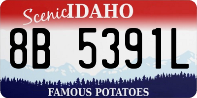 ID license plate 8B5391L