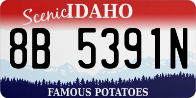 ID license plate 8B5391N