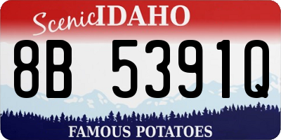 ID license plate 8B5391Q