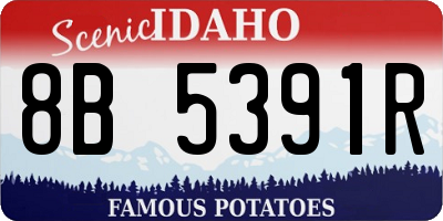 ID license plate 8B5391R
