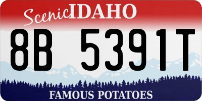 ID license plate 8B5391T