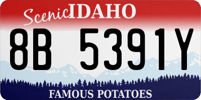 ID license plate 8B5391Y