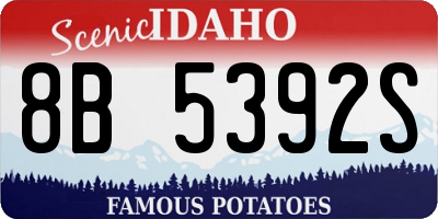 ID license plate 8B5392S