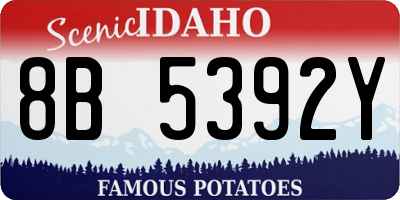ID license plate 8B5392Y