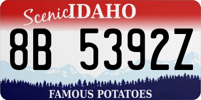 ID license plate 8B5392Z