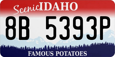 ID license plate 8B5393P