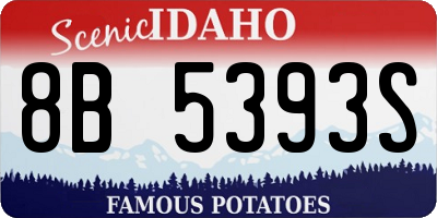 ID license plate 8B5393S