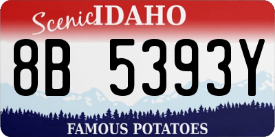 ID license plate 8B5393Y