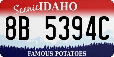 ID license plate 8B5394C
