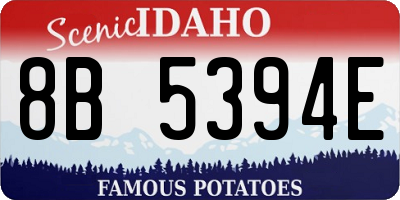 ID license plate 8B5394E