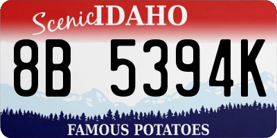 ID license plate 8B5394K