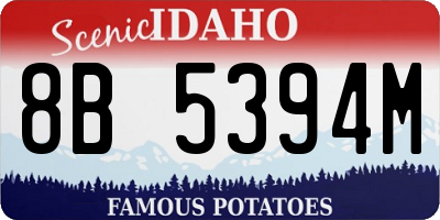 ID license plate 8B5394M