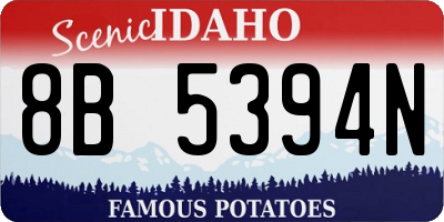 ID license plate 8B5394N