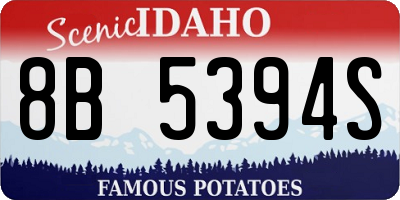 ID license plate 8B5394S