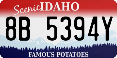 ID license plate 8B5394Y