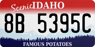 ID license plate 8B5395C