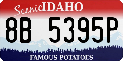 ID license plate 8B5395P