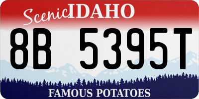 ID license plate 8B5395T