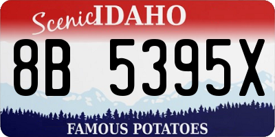 ID license plate 8B5395X