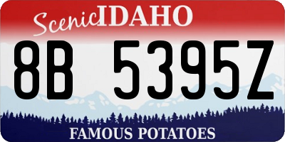 ID license plate 8B5395Z