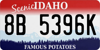 ID license plate 8B5396K