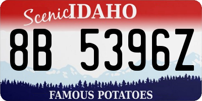 ID license plate 8B5396Z