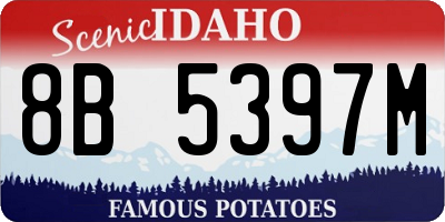 ID license plate 8B5397M