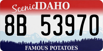 ID license plate 8B5397O