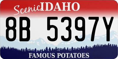 ID license plate 8B5397Y