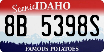ID license plate 8B5398S
