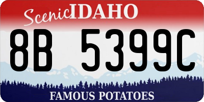 ID license plate 8B5399C