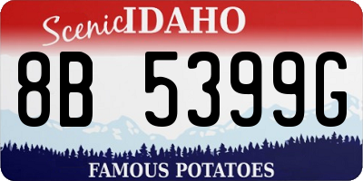 ID license plate 8B5399G