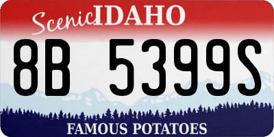 ID license plate 8B5399S