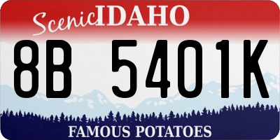 ID license plate 8B5401K