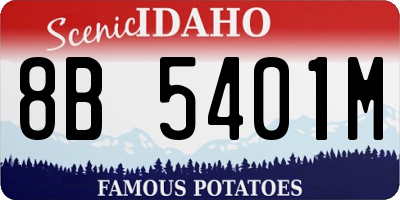 ID license plate 8B5401M