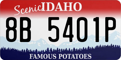 ID license plate 8B5401P