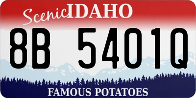 ID license plate 8B5401Q