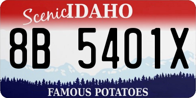 ID license plate 8B5401X