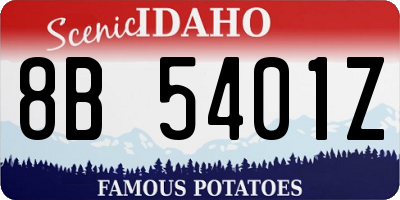 ID license plate 8B5401Z