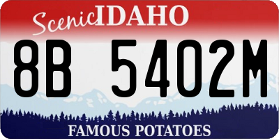 ID license plate 8B5402M