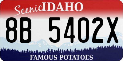 ID license plate 8B5402X