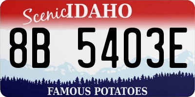 ID license plate 8B5403E
